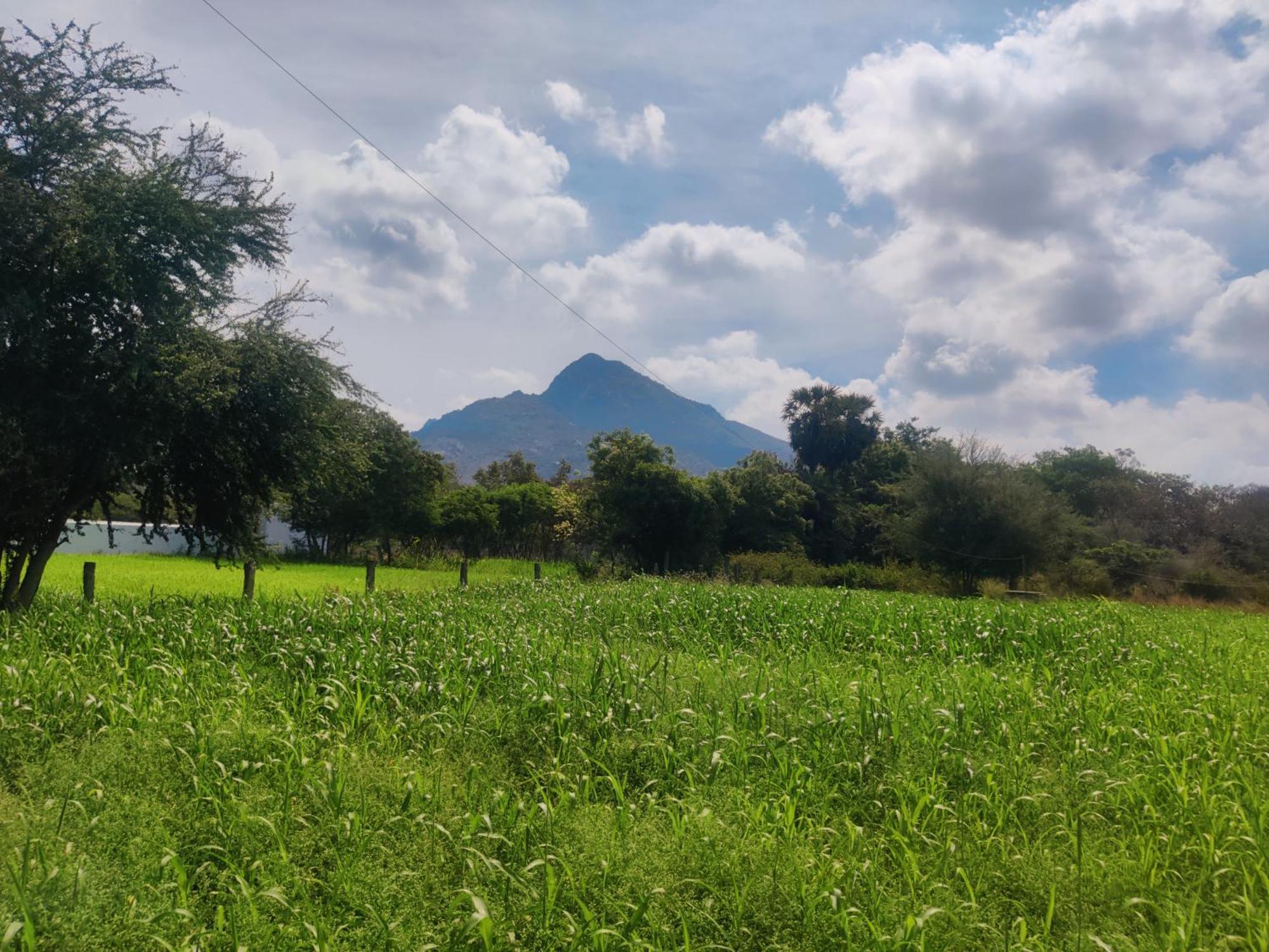 Arunachala Houses Tiruvannamalai Ngoại thất bức ảnh
